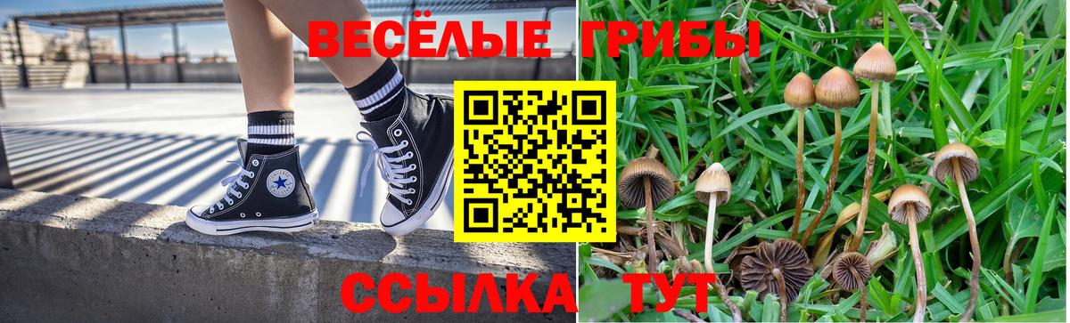 Галлюциногенные грибы Magic Shrooms  магазин продажи   Псилоцибиновые грибы Magic Shrooms  Рассказово  Вход с VPN 